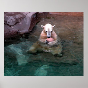 Me and My Ball Poster