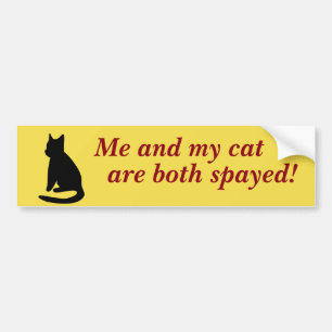 Me And My Cat Bumper Sticker