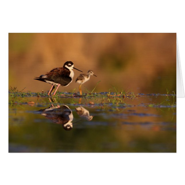 Me and my chick (Front Horizontal)