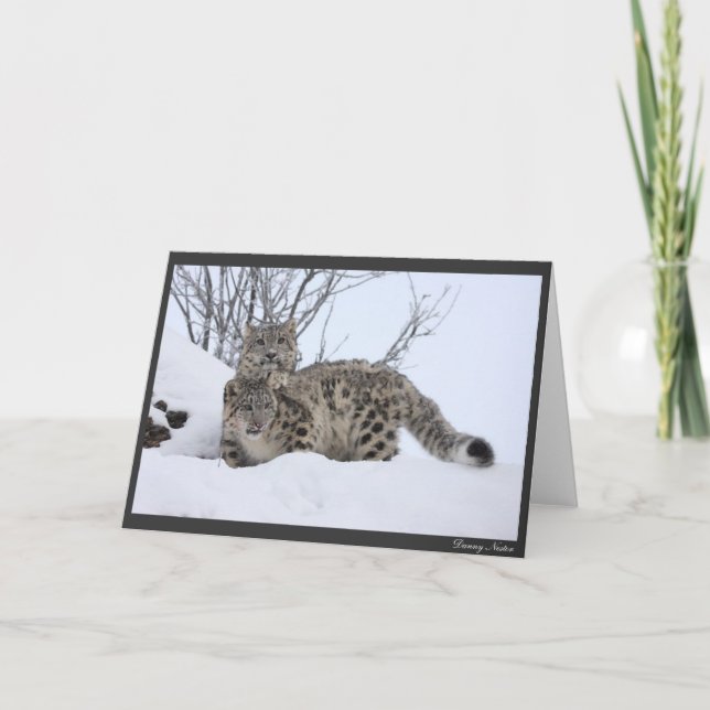 Me and My Pal Card (Front)