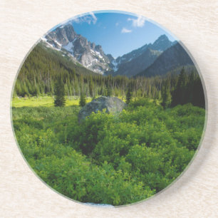 Meadow and Mt. Stuart Coaster