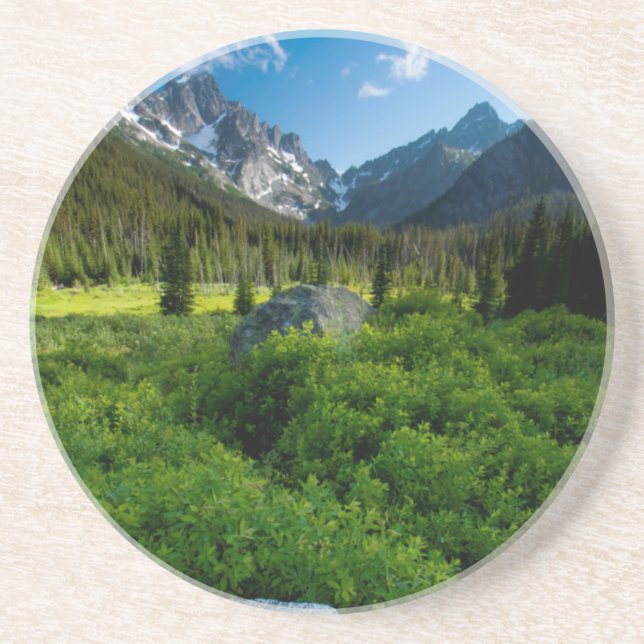 Meadow and Mt. Stuart Coaster (Front)