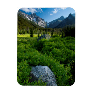 Meadow and Mt. Stuart Magnet