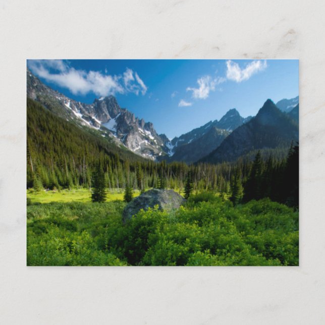 Meadow and Mt. Stuart Postcard (Front)