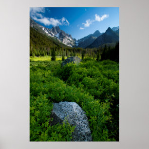 Meadow and Mt. Stuart Poster