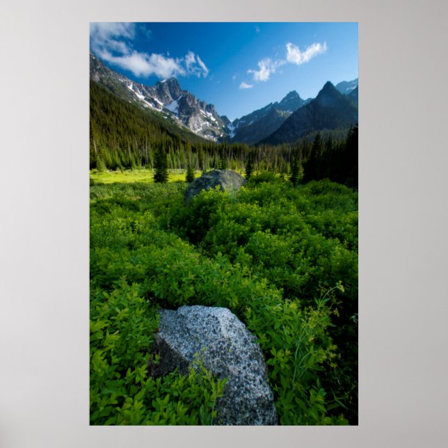 Meadow and Mt. Stuart Poster (Front)