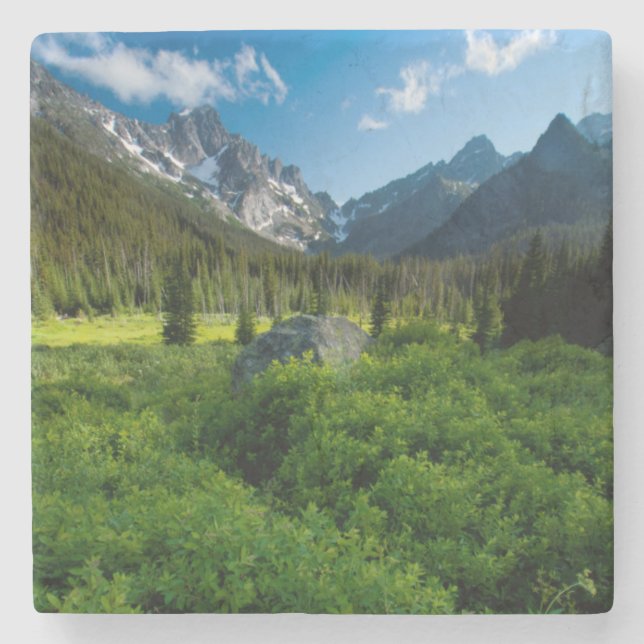 Meadow and Mt. Stuart Stone Coaster (Front)