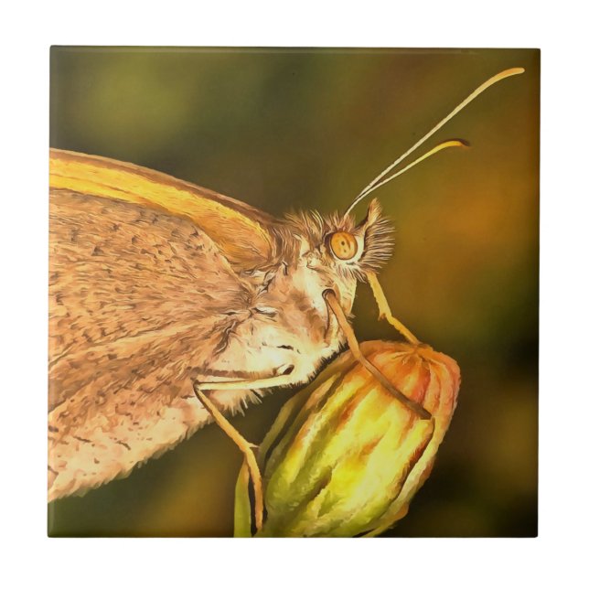 Meadow Brown Beautiful Butterfly Art Ceramic Tile (Front)