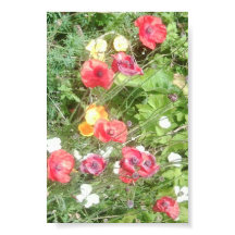 Meadow Dapple Flowers Value Poster - Very Small