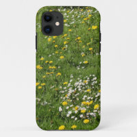 Meadow Flowers