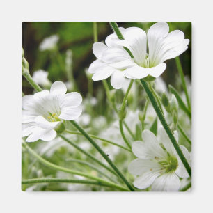 Meadow Flowers Magnet