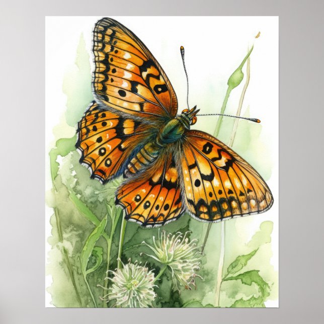 Meadow Fritillary Butterfly Art Print Poster (Front)