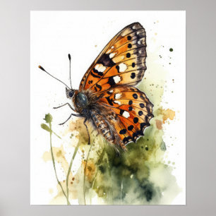 Meadow Fritillary Butterfly Art Print Poster