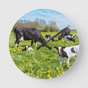 Meadow full of dandelions with grazing cows round clock