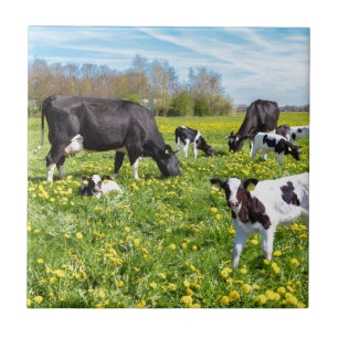 Meadow full of dandelions with grazing cows tile
