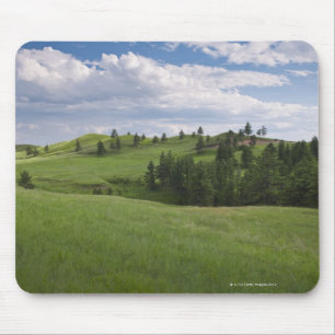 Meadow in Custer State Park Mouse Pad