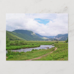Meadow in Rocky Mountain National Park Postcard
