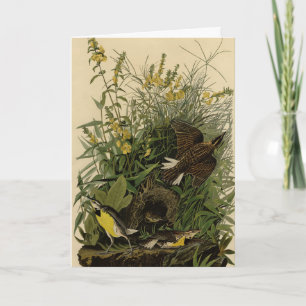 Meadow Lark from Audubon's Birds of America Card