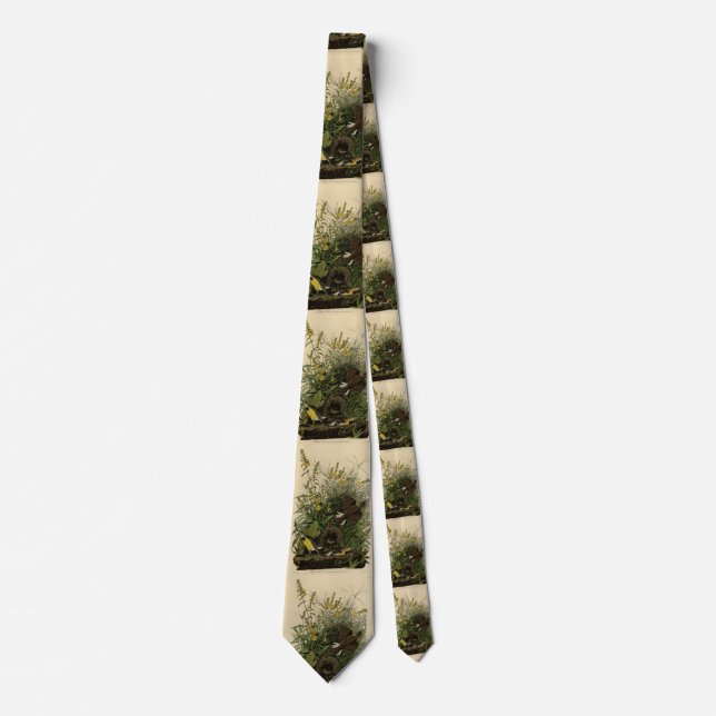 Meadow Lark	from Audubon's Birds of America Tie (Front)