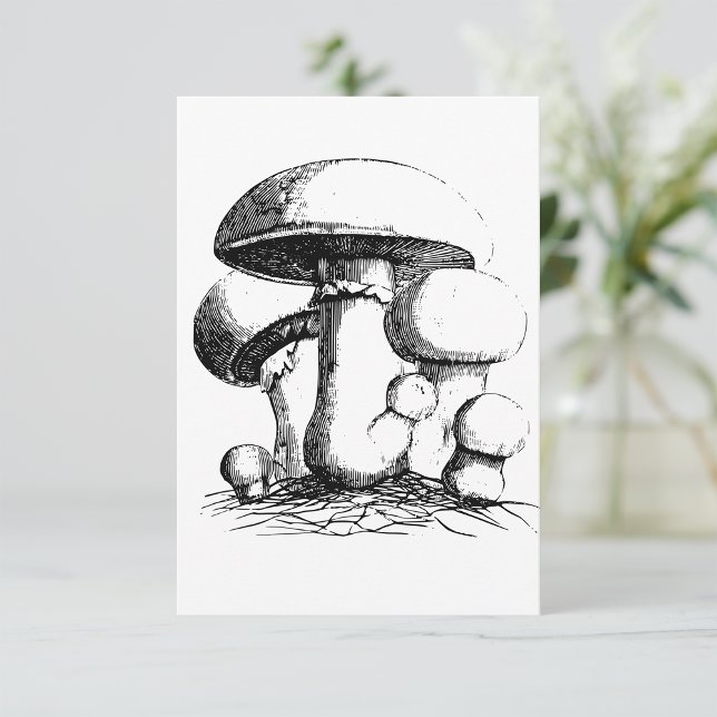 Meadow Mushrooms Invitations (Creator Uploaded)