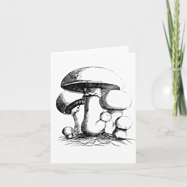 Meadow Mushrooms Note Cards (Front)