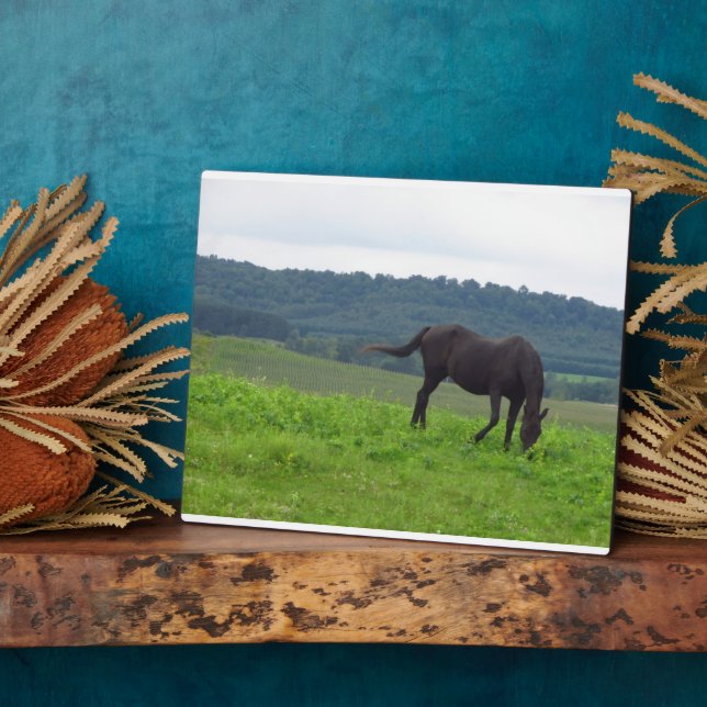 Meadow of Love Plaque (Side)