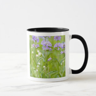Meadow of penstemon wildflowers in the mug