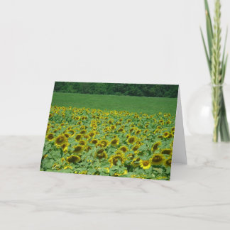Meadow of Sunflowers Card