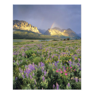 Meadow of Wildflowersnear Lake Sherbourne in Photo Print