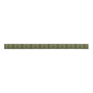 Meadow Seeds Grosgrain Ribbon