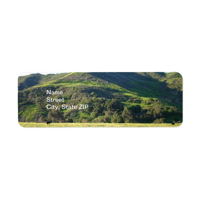 Meadow Valley Return Address Label (Front)