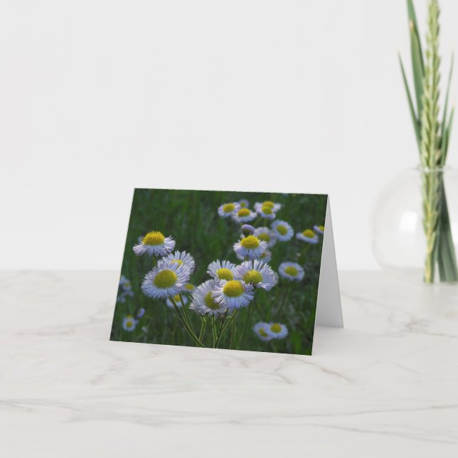Meadow Wildflowers Note Card (Front)