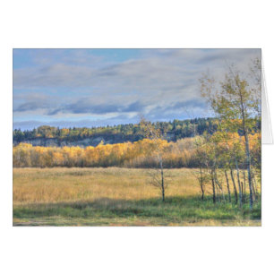 Meadow with Aspens