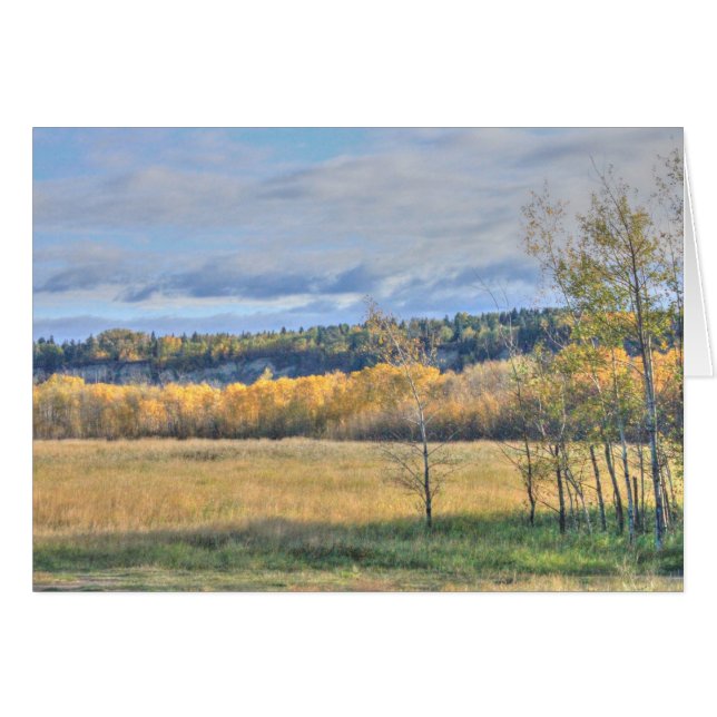 Meadow with Aspens (Front Horizontal)