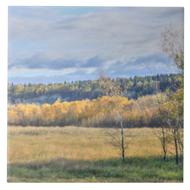 Meadow with Aspens Ceramic Tile (Front)