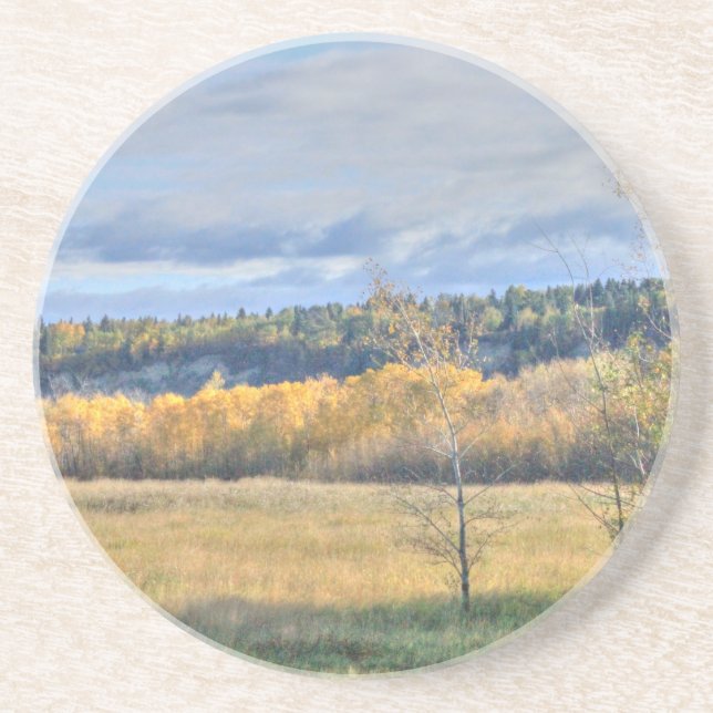 Meadow with Aspens Coaster (Front)