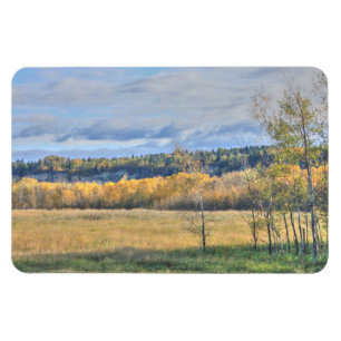 Meadow with Aspens Magnet