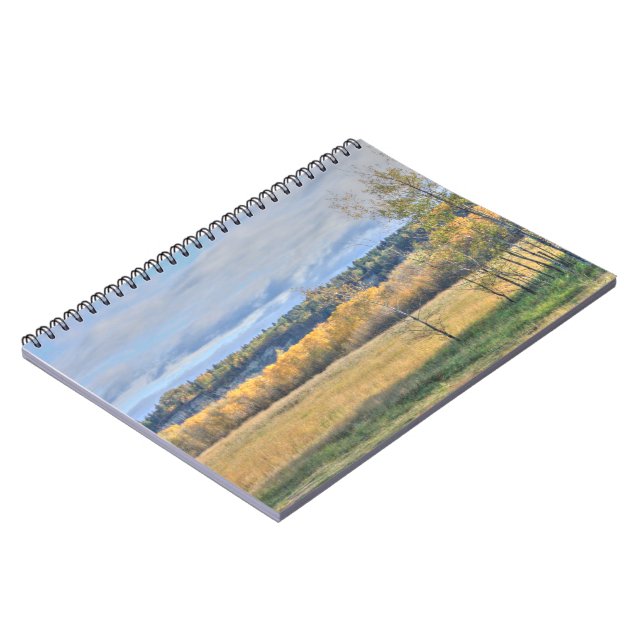 Meadow with Aspens Notebook (Left Side)