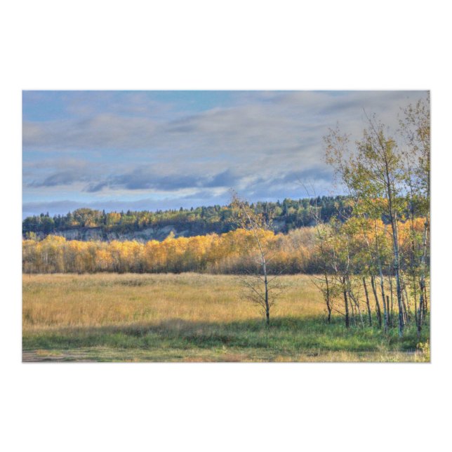 Meadow with Aspens Poster (Front)
