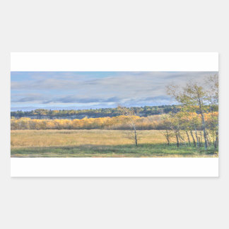 Meadow with Aspens Rectangular Sticker