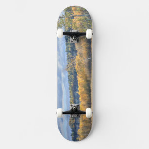 Meadow with Aspens Skateboard