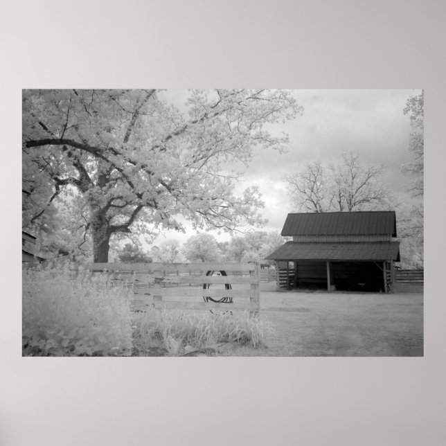 Meadowbank Farm Poster (Front)