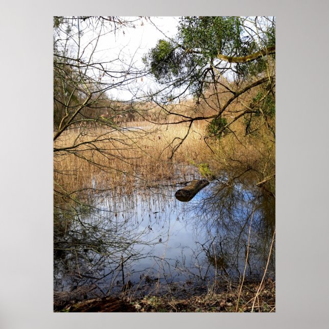 Meadowlands nature poster (Front)
