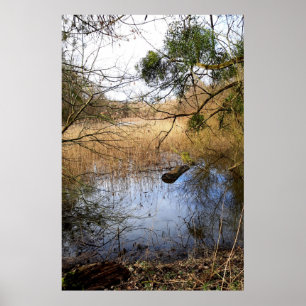 Meadowlands nature poster
