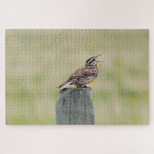 Meadowlark  jigsaw puzzle