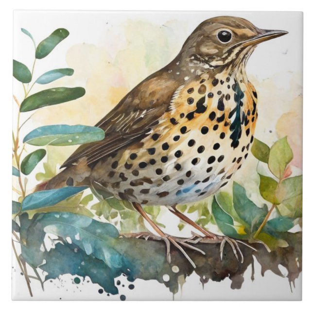 Meadowlark On a Solid White Background On A Branch Ceramic Tile (Front)