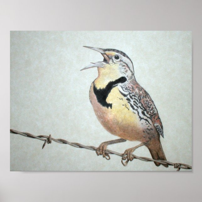 Meadowlark Poster (Front)