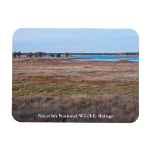meadows and marshes of necedah magnet