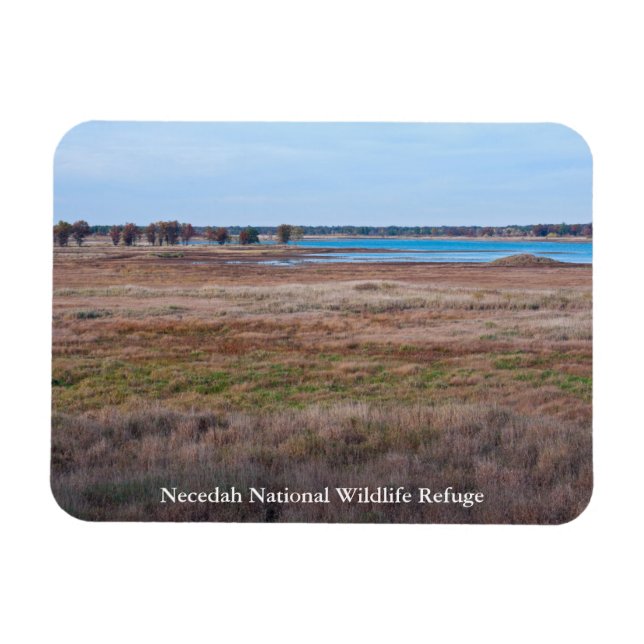 meadows and marshes of necedah magnet (Horizontal)