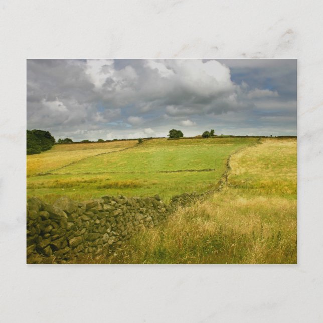 Meadows and Walls Postcard (Front)